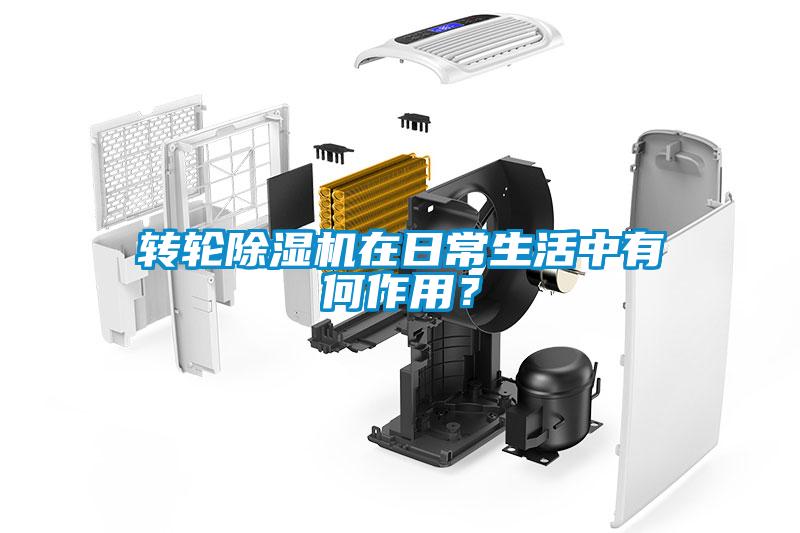 转轮草莓视频APP在线观看在日常生活中有何作用？