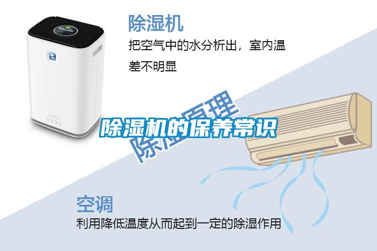 草莓视频APP在线观看的保养常识