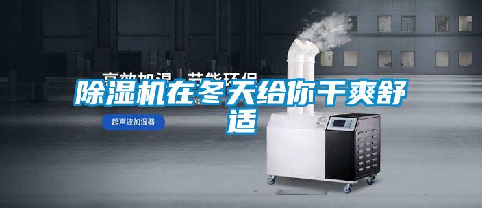 草莓视频APP在线观看在冬天给你干爽舒适