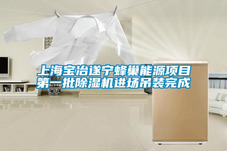 上海宝冶遂宁蜂巢能源项目第一批草莓视频APP在线观看进场吊装完成