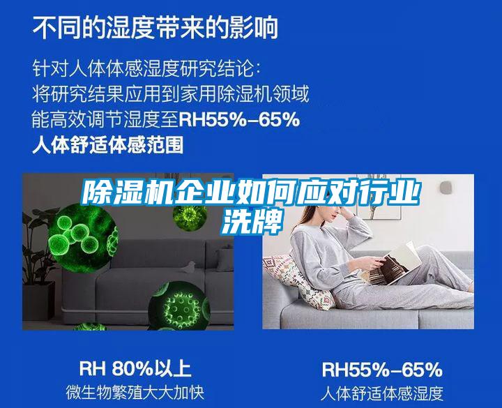 草莓视频APP在线观看企业如何应对行业洗牌