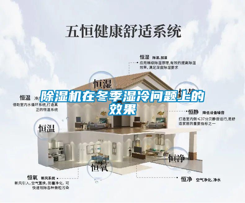 草莓视频APP在线观看在冬季湿冷问题上的效果