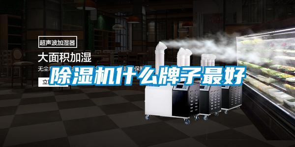 草莓视频APP在线观看什么牌子最好