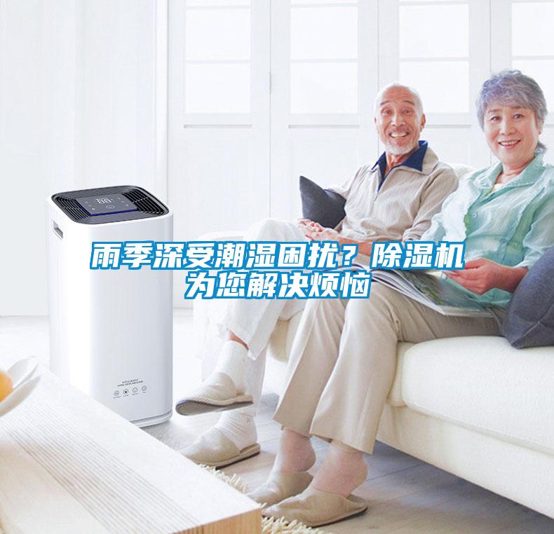 雨季深受潮湿困扰？草莓视频APP在线观看为您解决烦恼
