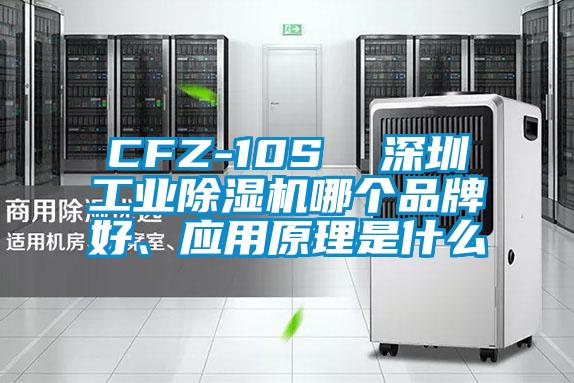 CFZ-10S  深圳工业草莓视频APP在线观看哪个品牌好、应用原理是什么