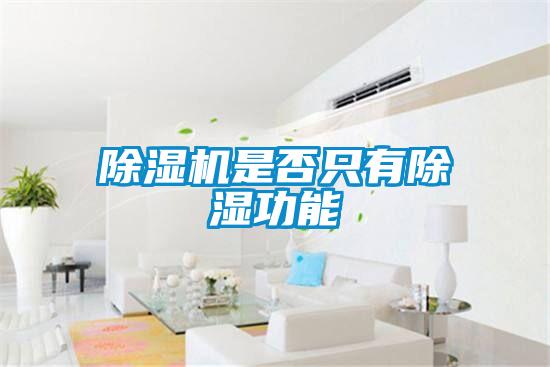 草莓视频APP在线观看是否只有除湿功能