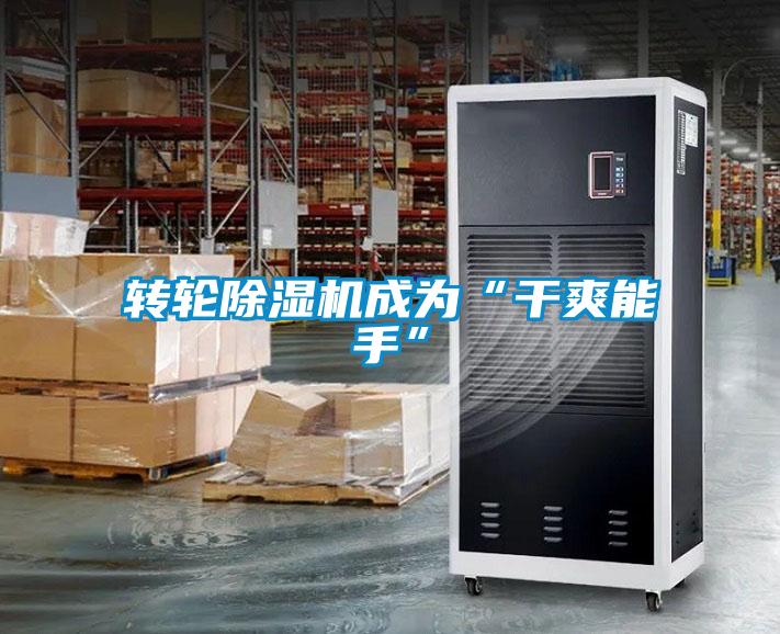 转轮草莓视频APP在线观看成为“干爽能手”