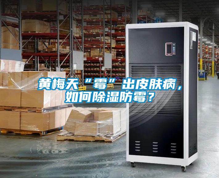 黄梅天“霉”出皮肤病，如何除湿防霉？