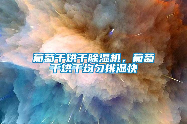 葡萄干烘干草莓视频APP在线观看，葡萄干烘干均匀排湿快