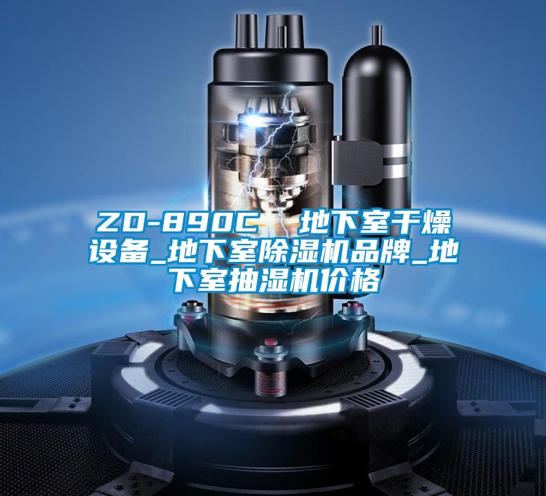 ZD-890C  地下室干燥设备_地下室草莓视频APP在线观看品牌_地下室抽湿机价格