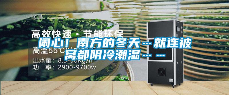 闹心！南方的冬天…就连被窝都阴冷潮湿……