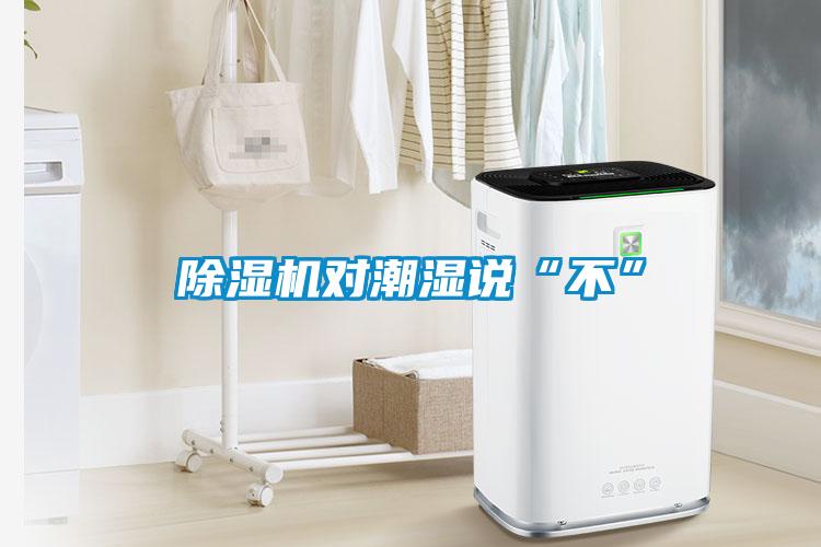 草莓视频APP在线观看对潮湿说“不”