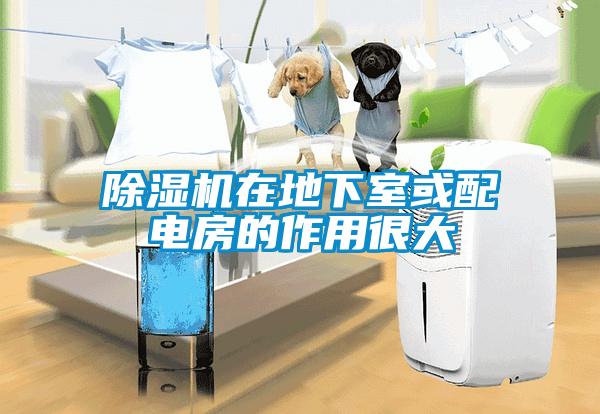 草莓视频APP在线观看在地下室或配电房的作用很大