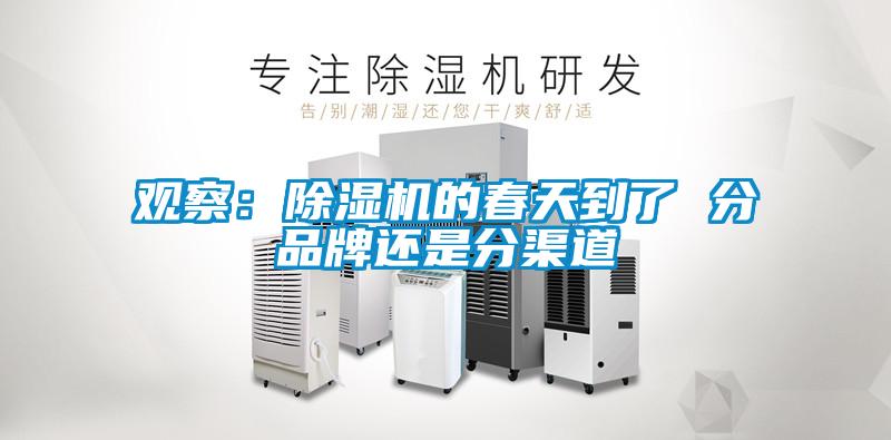 观察：草莓视频APP在线观看的春天到了 分品牌还是分渠道