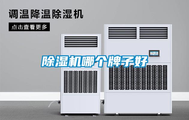草莓视频APP在线观看哪个牌子好