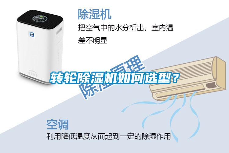 转轮草莓视频APP在线观看如何选型？