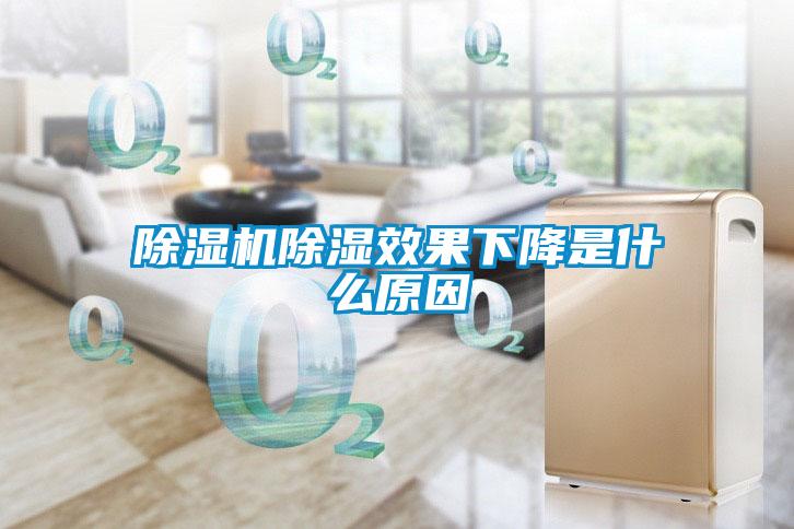 草莓视频APP在线观看除湿效果下降是什么原因