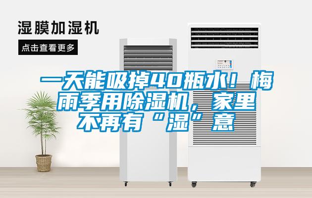 一天能吸掉40瓶水！梅雨季用草莓视频APP在线观看，家里不再有“湿”意
