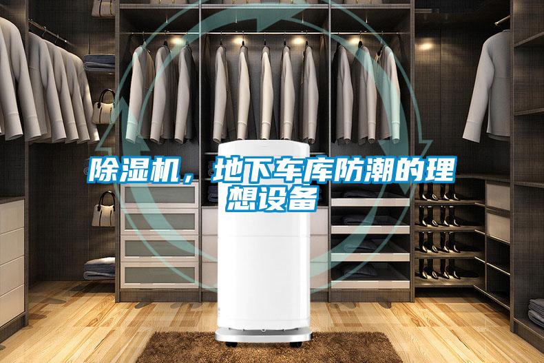草莓视频APP在线观看，地下车库防潮的理想设备