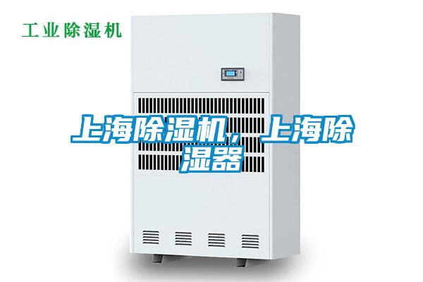 上海草莓视频APP在线观看，上海除湿器