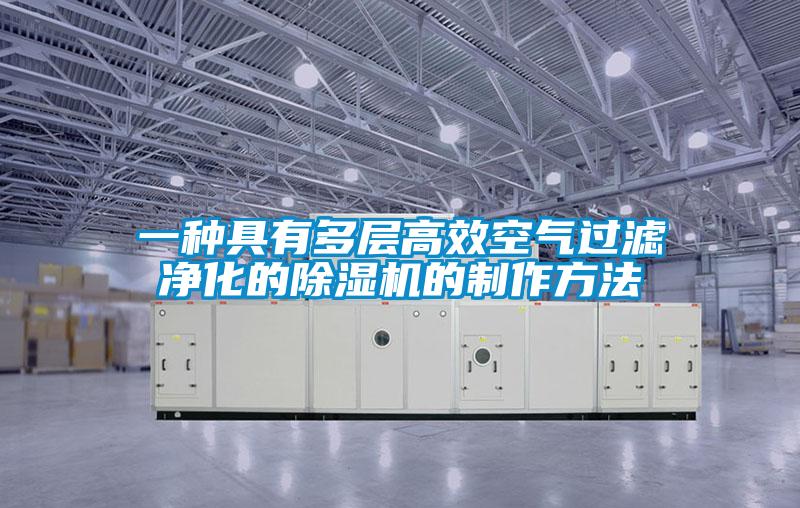 一种具有多层高效空气过滤净化的草莓视频APP在线观看的制作方法
