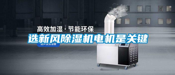 选新风草莓视频APP在线观看电机是关键