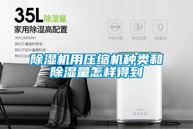 草莓视频APP在线观看用压缩机种类和除湿量怎样得到