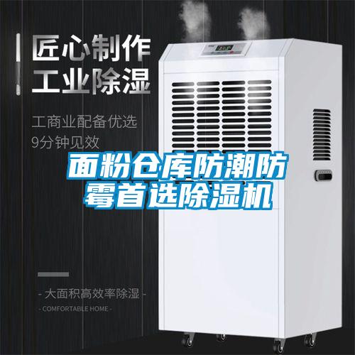 面粉仓库防潮防霉首选草莓视频APP在线观看