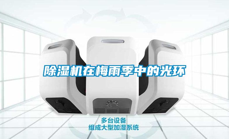草莓视频APP在线观看在梅雨季中的光环