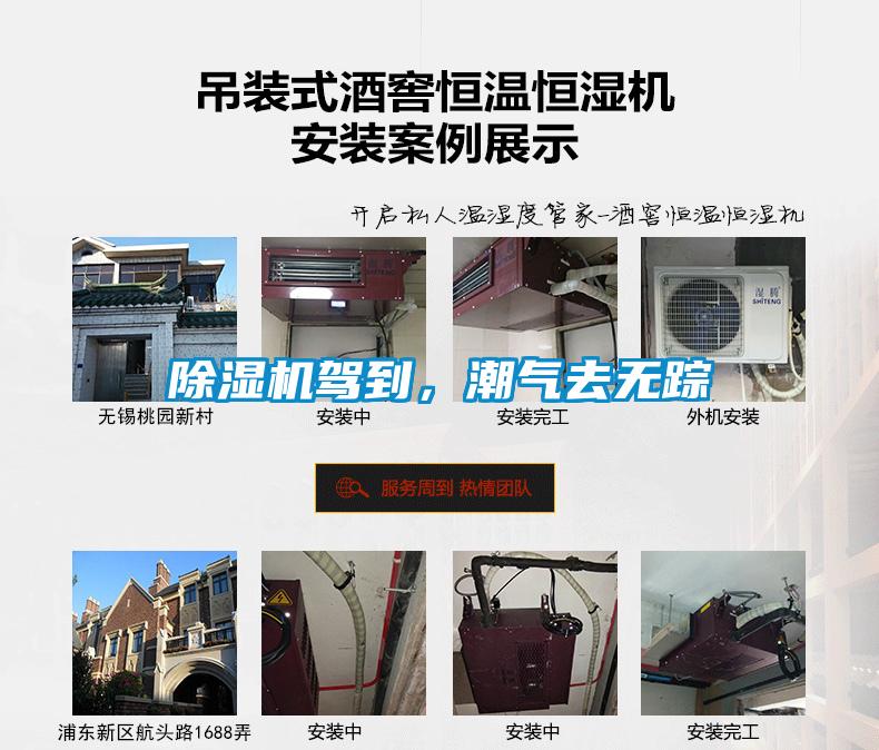 草莓视频APP在线观看驾到，潮气去无踪