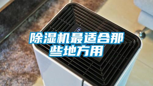 草莓视频APP在线观看最适合那些地方用