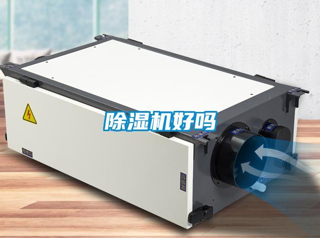 草莓视频APP在线观看好吗