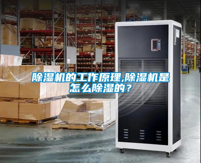 草莓视频APP在线观看的工作原理,草莓视频APP在线观看是怎么除湿的？