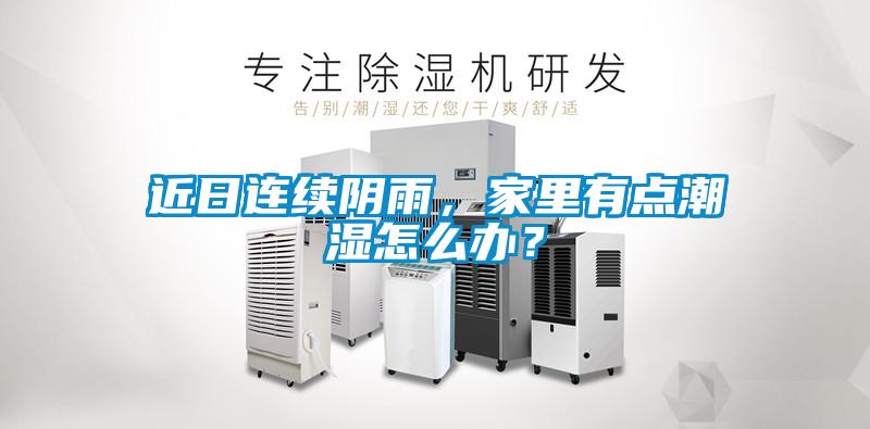 近日连续阴雨，家里有点潮湿怎么办？