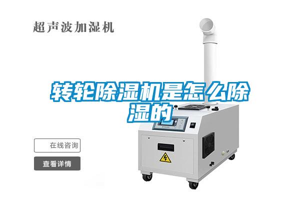 转轮草莓视频APP在线观看是怎么除湿的