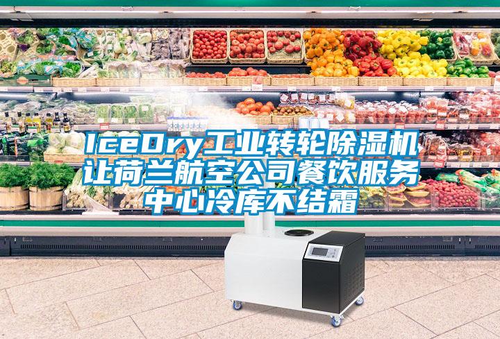 IceDry工业转轮草莓视频APP在线观看让荷兰航空公司餐饮服务中心冷库不结霜