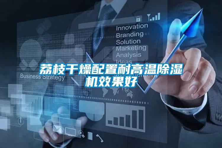 荔枝干燥配置耐高温草莓视频APP在线观看效果好