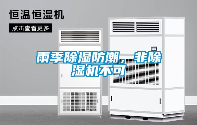 雨季除湿防潮，非草莓视频APP在线观看不可