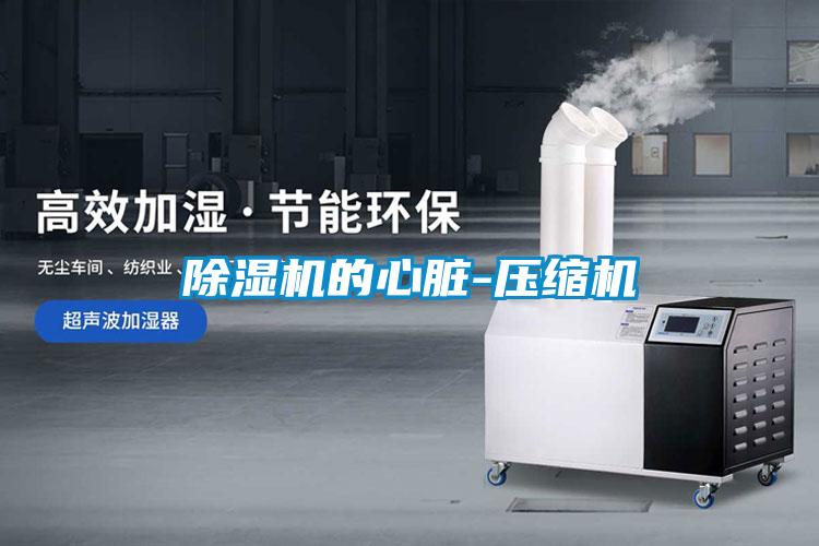 草莓视频APP在线观看的心脏-压缩机