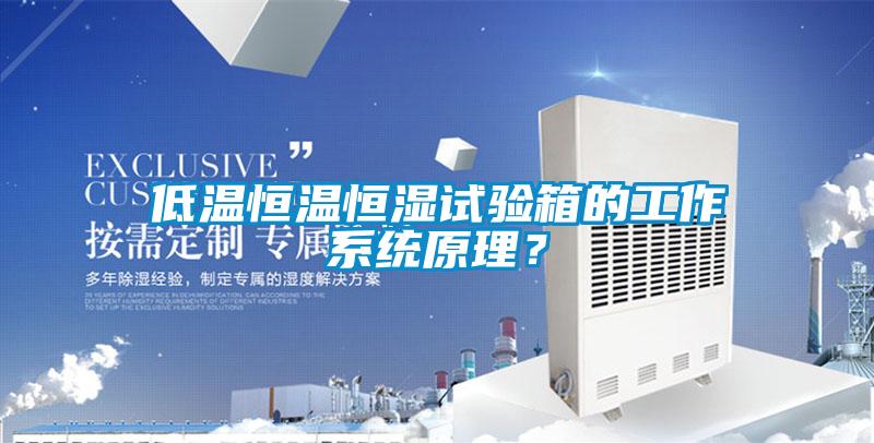 低温恒温恒湿试验箱的工作系统原理？
