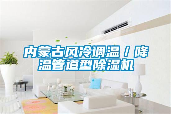 内蒙古风冷调温／降温管道型草莓视频APP在线观看