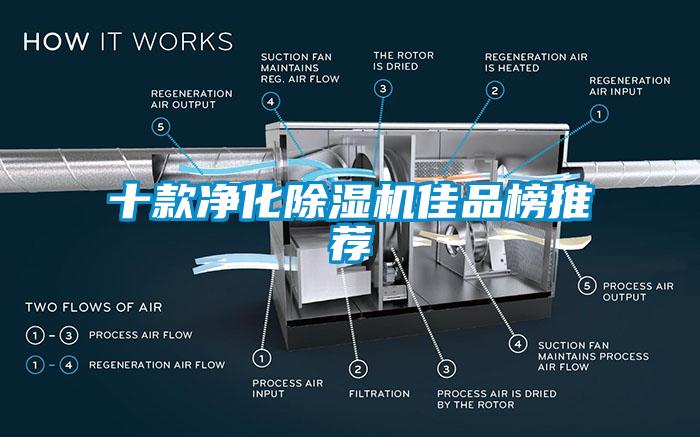 十款净化草莓视频APP在线观看佳品榜推荐