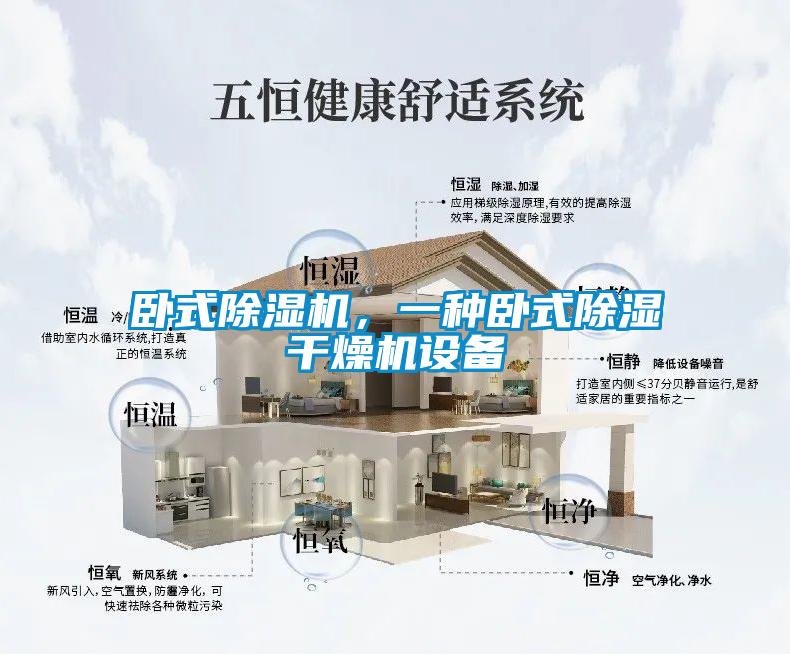 卧式草莓视频APP在线观看，一种卧式除湿干燥机设备