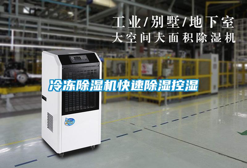 冷冻草莓视频APP在线观看快速除湿控湿