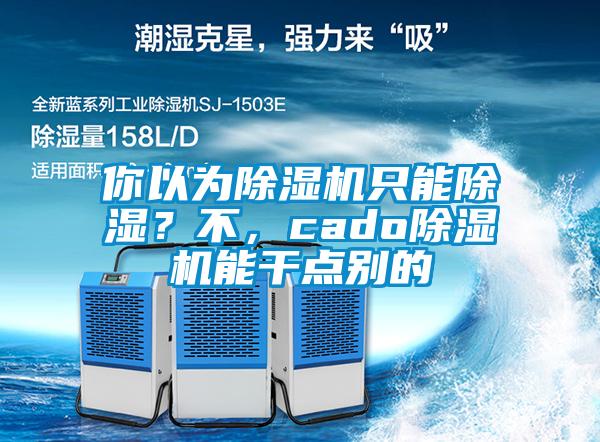 你以为草莓视频APP在线观看只能除湿？不，cado草莓视频APP在线观看能干点别的