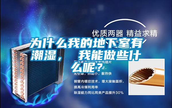 为什么我的地下室有潮湿， 我能做些什么呢？
