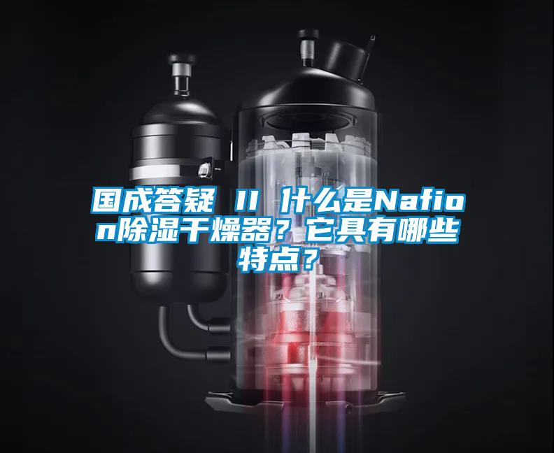 国成答疑 II 什么是Nafion除湿干燥器？它具有哪些特点？