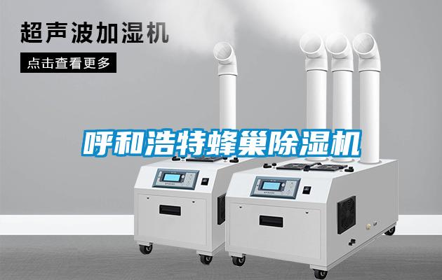 呼和浩特蜂巢草莓视频APP在线观看