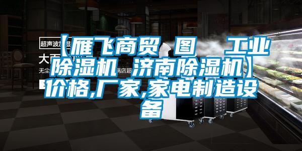 【雁飞商贸 图  工业草莓视频APP在线观看 济南草莓视频APP在线观看】价格,厂家,家电制造设备