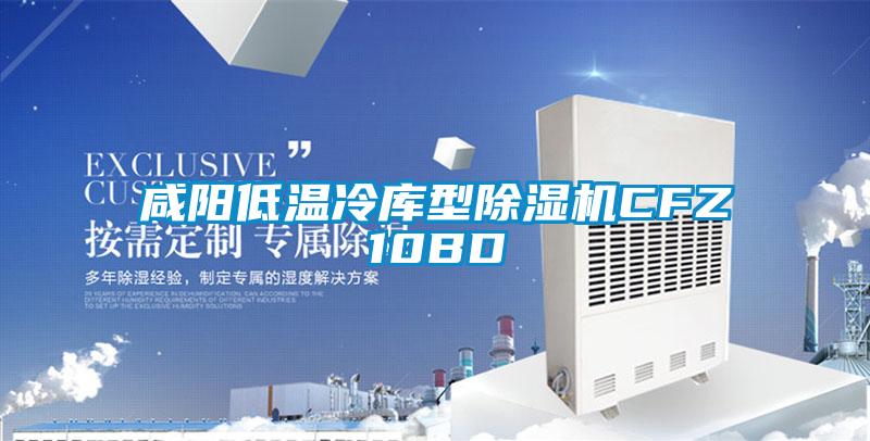 咸阳低温冷库型草莓视频APP在线观看CFZ10BD